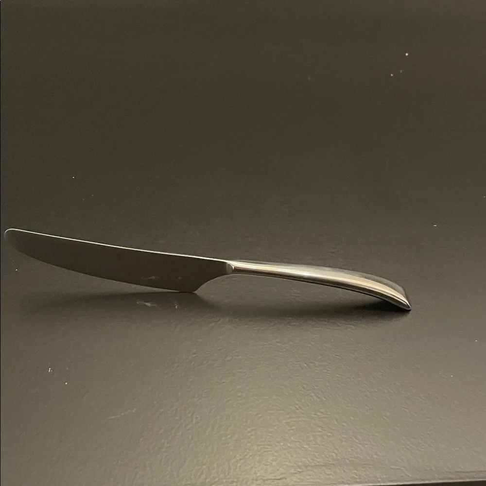 Yamazaki Silver Chorus Dinner Knife